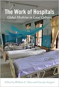 The Work of Hospitals: Global Medicine in Local Cultures (EPUB)