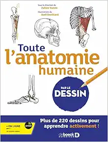 Toute l’anatomie humaine par le dessin: Plus de 220 dessins pour apprendre activement ! (PDF)
