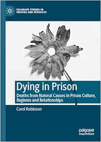 Dying in Prison: Deaths from Natural Causes in Prison Culture, Regimes and Relationships (Palgrave Studies in Prisons and Penology) (EPUB)
