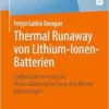 Thermal Runaway von Lithium-Ionen-Batterien: Einflussfaktoren auf die Materialbeanspruchung druckfester Kapselungen (BestMasters) (German Edition) (PDF)