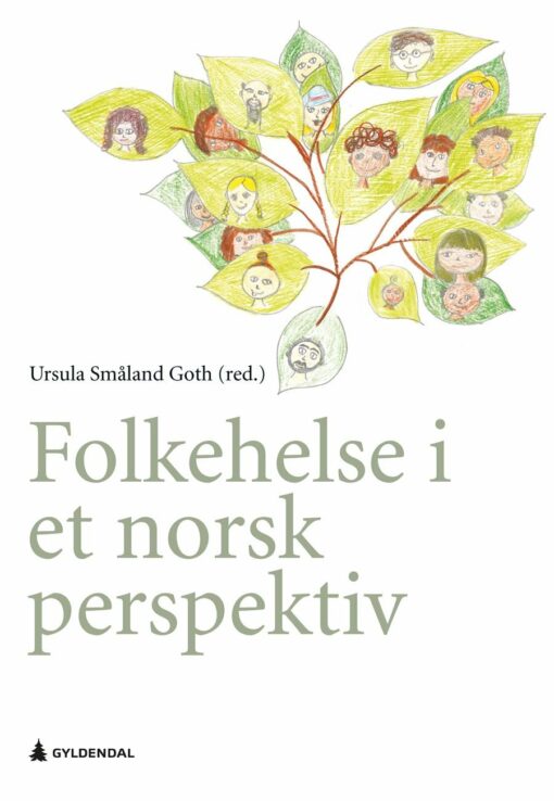 Folkehelse i et norsk perspektiv (EPUB)