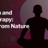 Harvard Meditation and Psychotherapy Learning from Nature 2025
