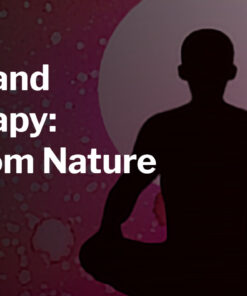 Harvard Meditation and Psychotherapy Learning from Nature 2025