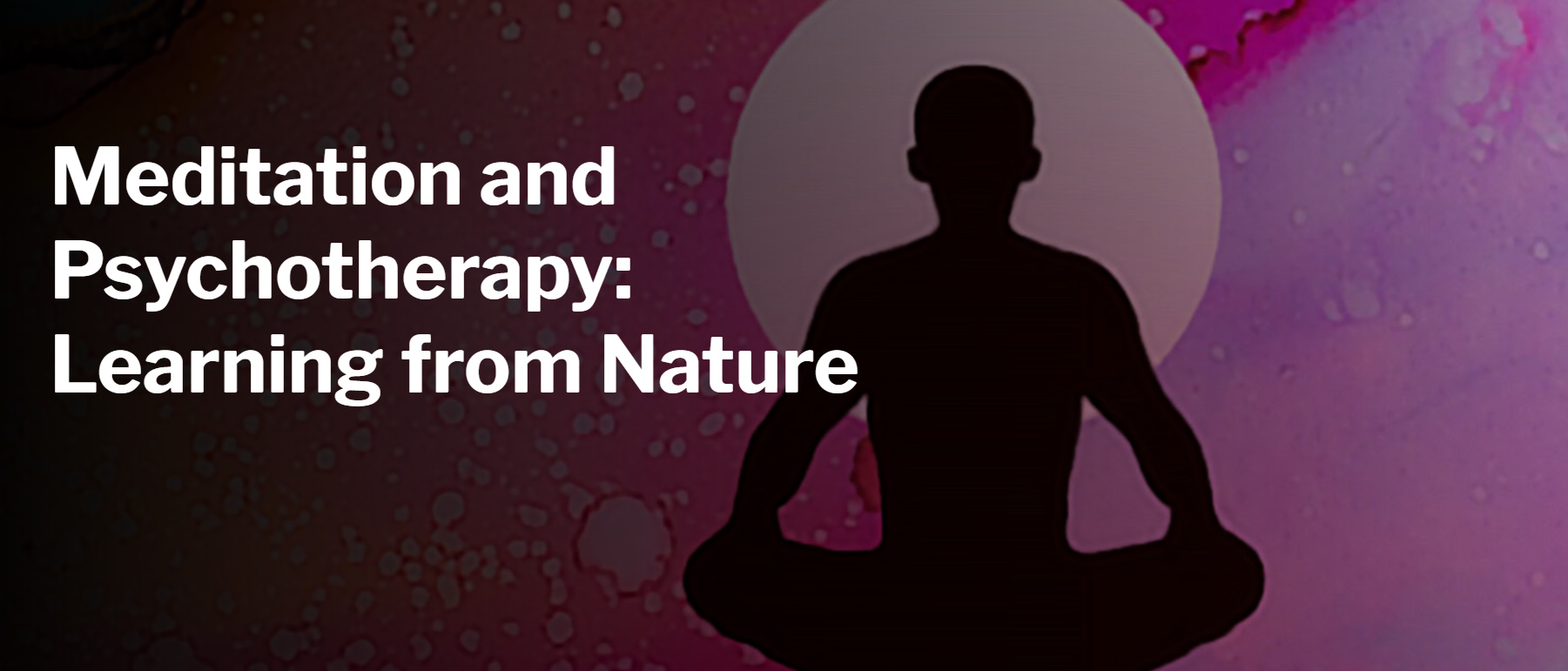 Harvard Meditation and Psychotherapy Learning from Nature 2025