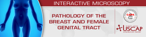 USCAP Pathology of the Breast and Female Genital Tract 2025